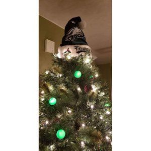 Fly Eagles Fly! 100 Green Light Covers Create an Eagles Team Tree/String of Lite